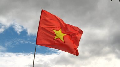 Vietnamesische Flagge